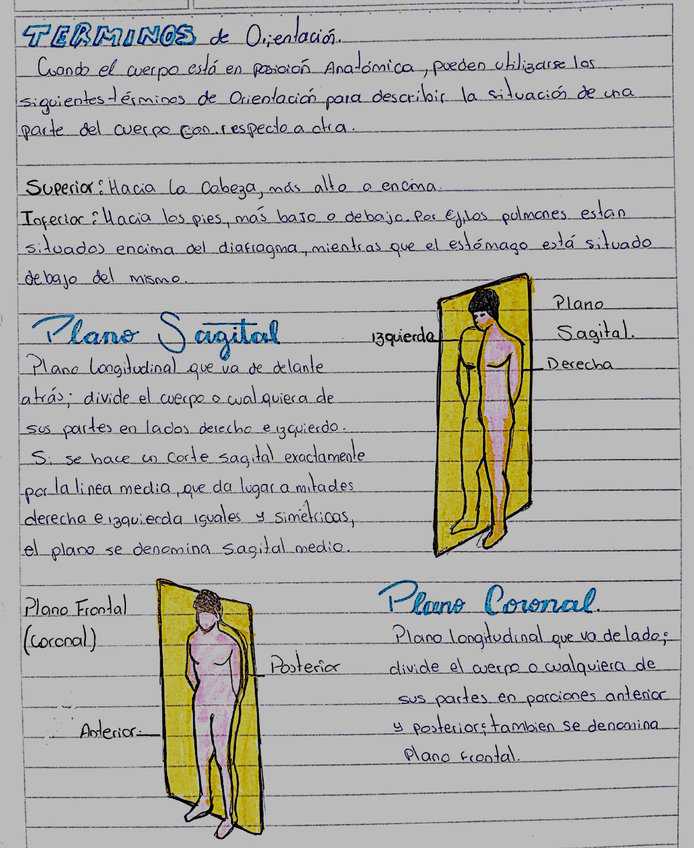 Miniatura del documento ANATO15.jpg