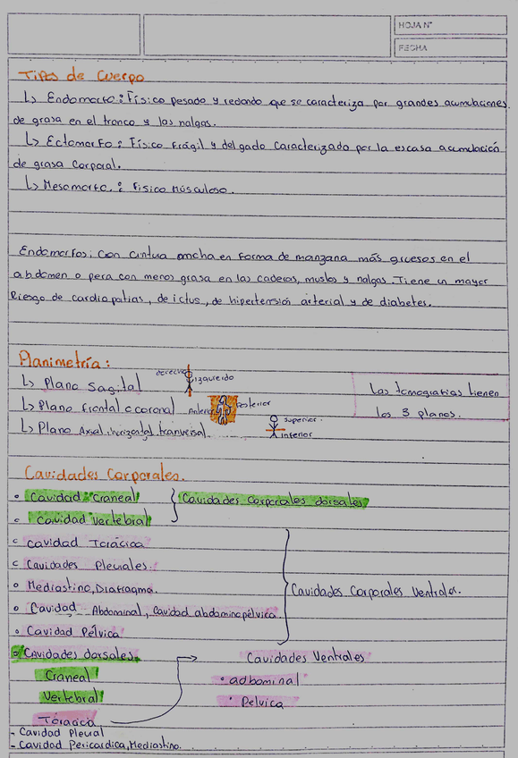 Miniatura del documento ANATO13.jpg