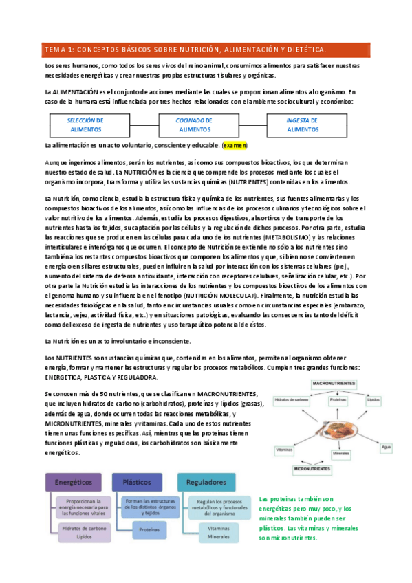 Miniatura del documento T1-AND.pdf