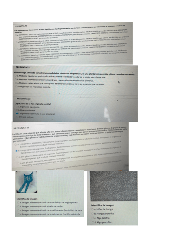 Miniatura del documento examen-2021.pdf