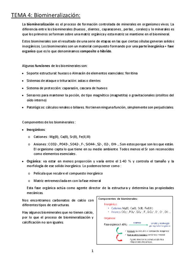 Miniatura del documento 4.pdf