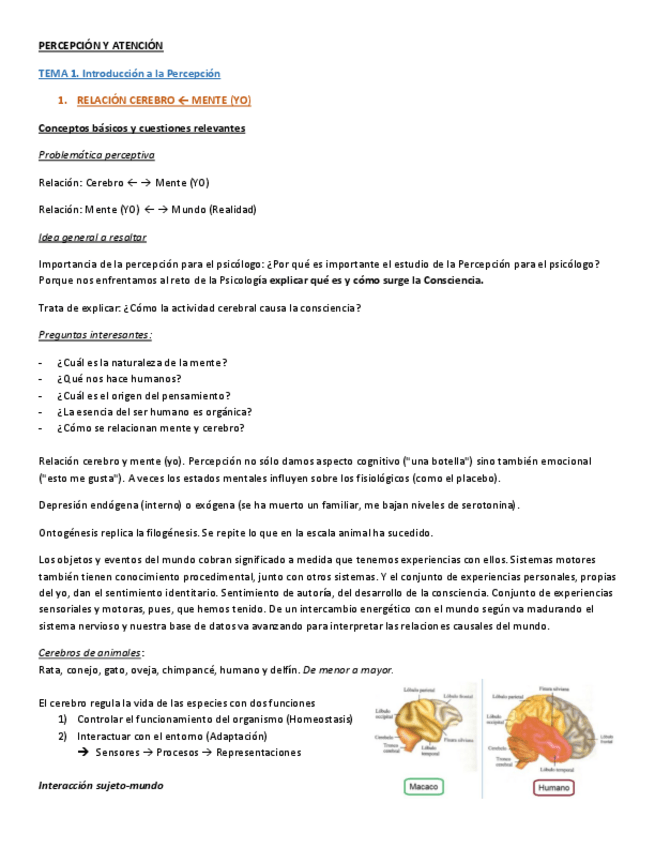 Miniatura del documento BLOQUE 1. PERCEPCIÓN VISUAL.pdf