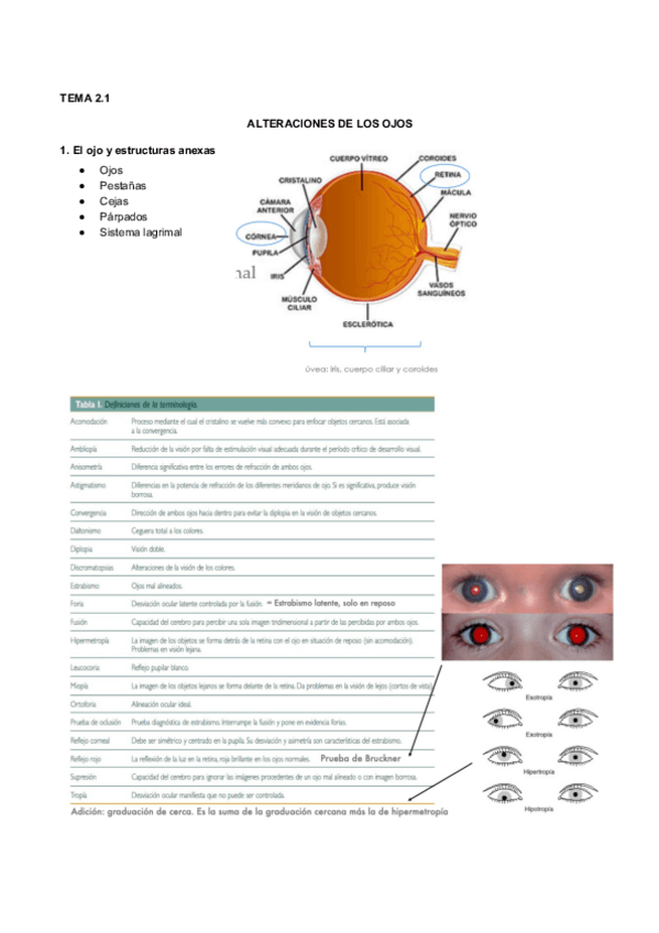 Miniatura del documento 2.1 Alteración en los ojos