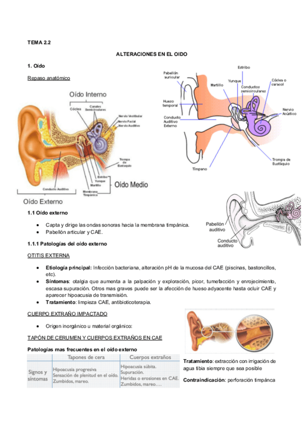 Miniatura del documento 2.2 Alteraciones en el oído.pdf