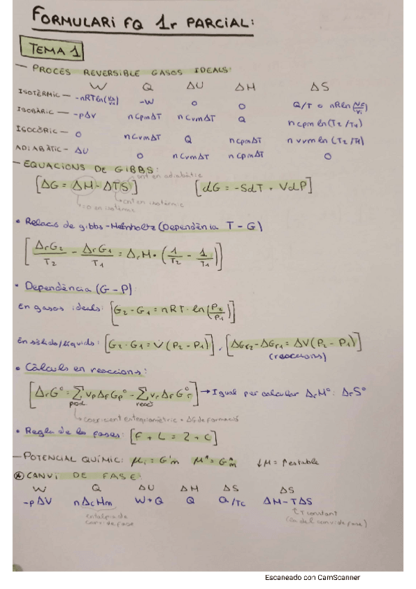 Miniatura del documento formulari-final-resum-per-temes.pdf