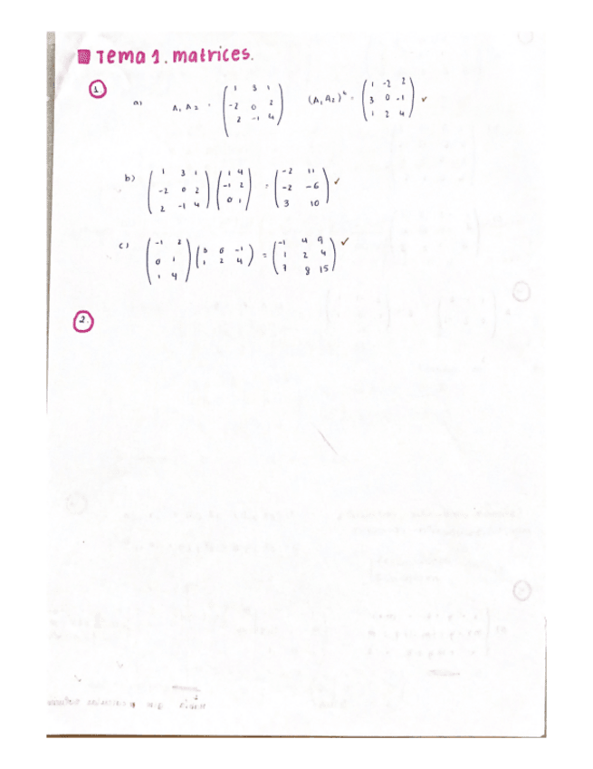 Miniatura del documento TEMA-1.pdf