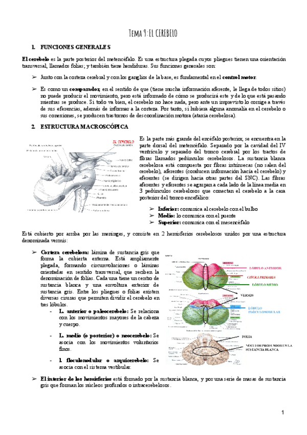 Miniatura del documento Tema-9-Psicobiologia.pdf