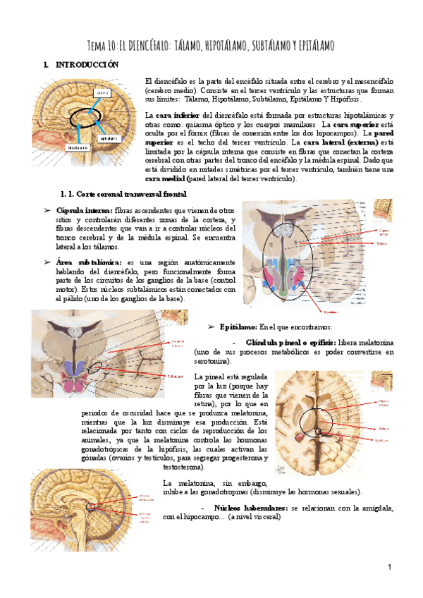 Miniatura del documento Tema-10-Psicobiologia.pdf