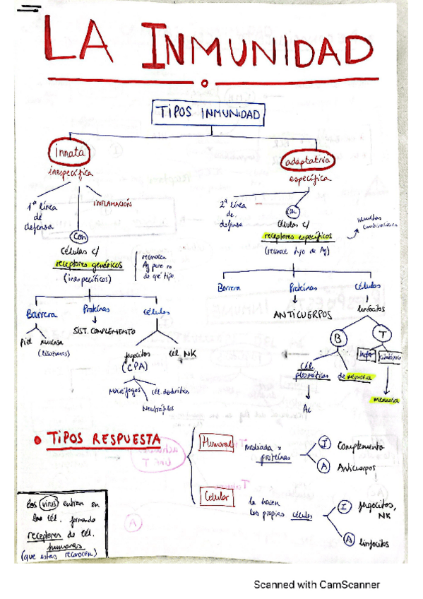 Miniatura del documento IMPORTANTE-DE-INMUNO.pdf