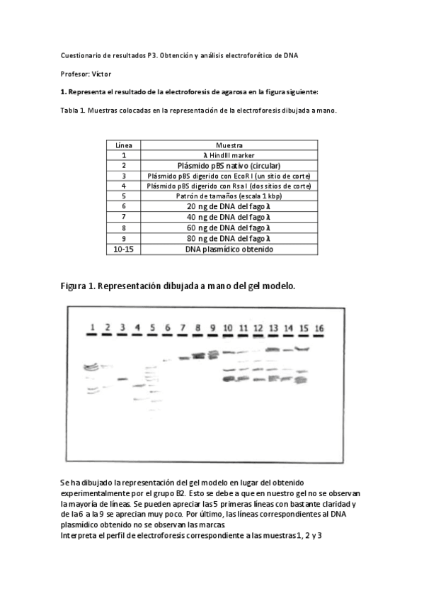 Miniatura del documento Cuestionario de resultados Practica 3.pdf