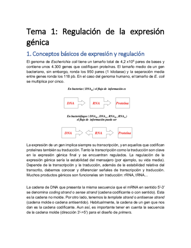 Miniatura del documento Tema-1.pdf