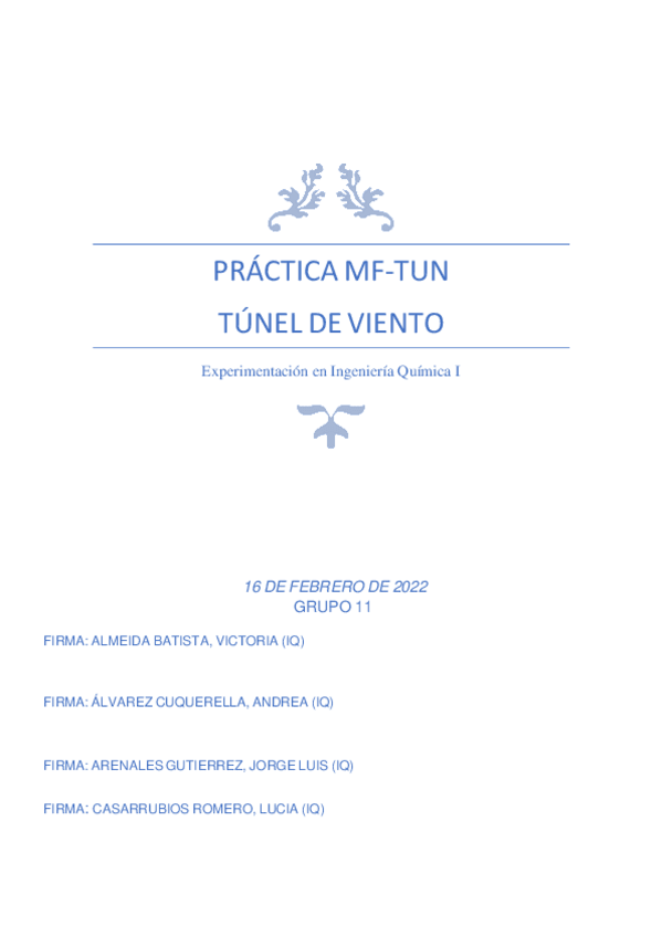 Miniatura del documento Tunel-de-viento.pdf