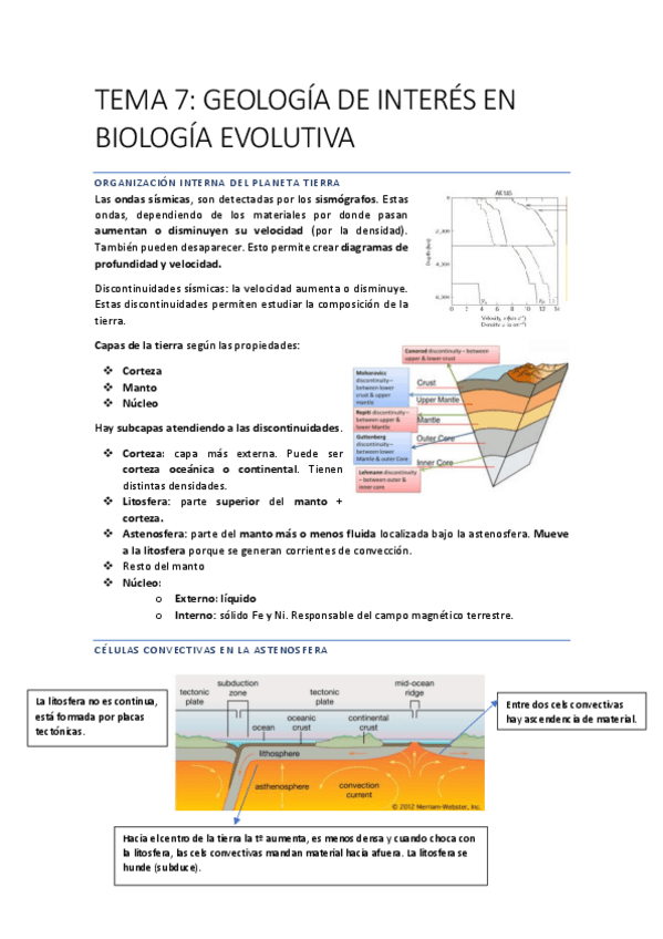 Miniatura del documento EVOLUCIONN-51-54.pdf