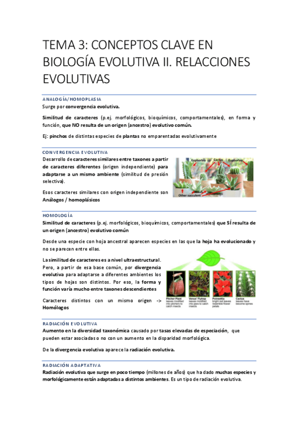 Miniatura del documento EVOLUCIONN-18-23.pdf