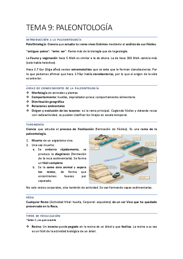 Miniatura del documento EVOLUCIONN-Recuperado-automaticamente-71-74.pdf