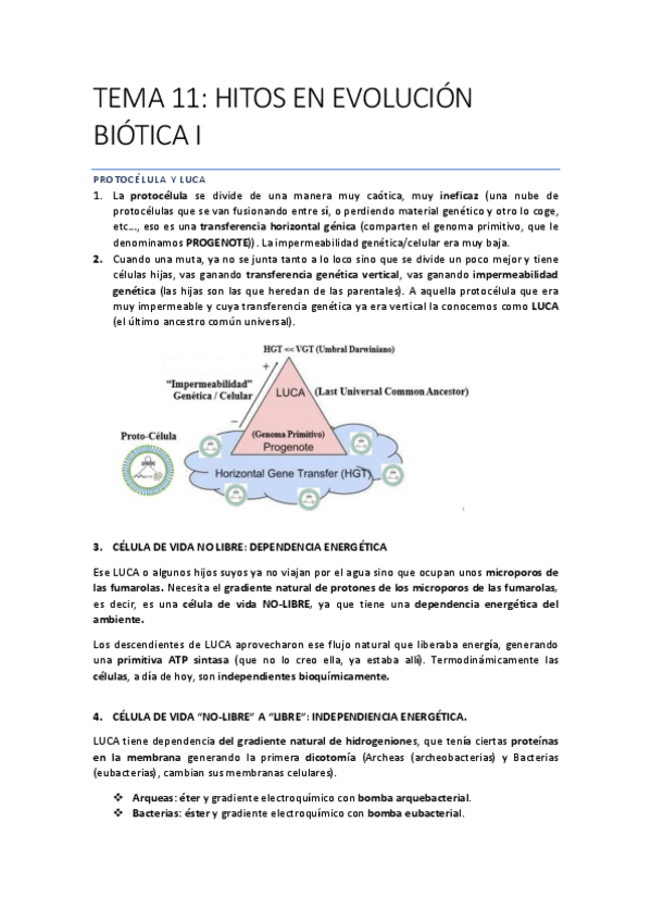 Miniatura del documento EVOLUCIONN-Recuperado-automaticamente-80-87.pdf
