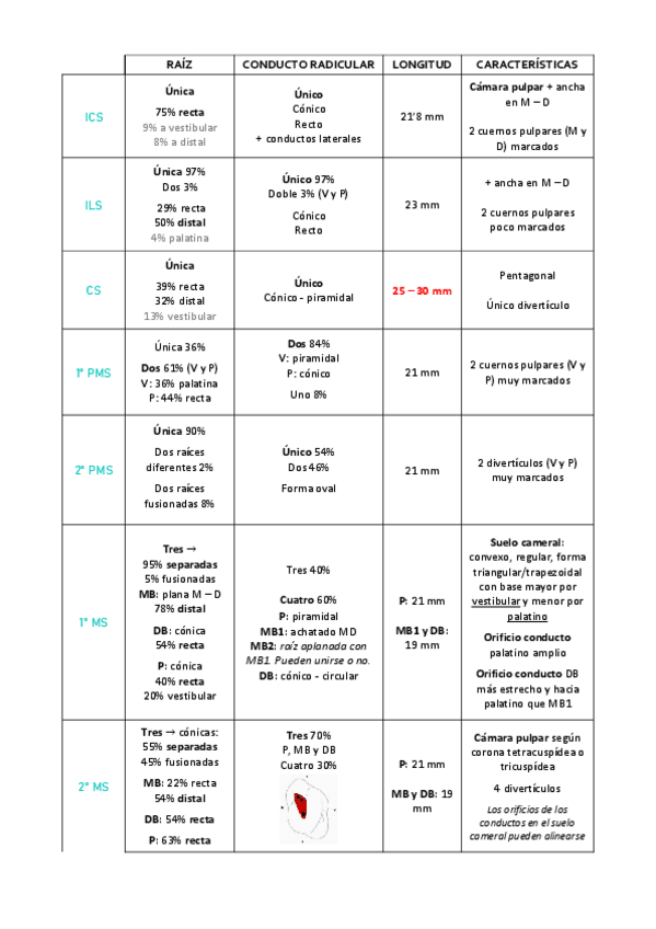 Miniatura del documento TABLA-TEMA-4-Anatomia-dental-interna.pdf