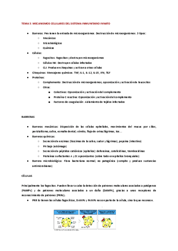 Miniatura del documento TEMA-4-1.pdf