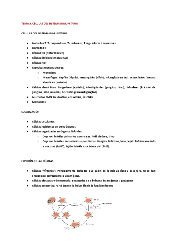 Miniatura del documento TEMA-2.pdf