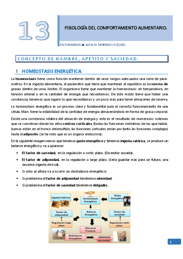 Miniatura del documento 13.pdf