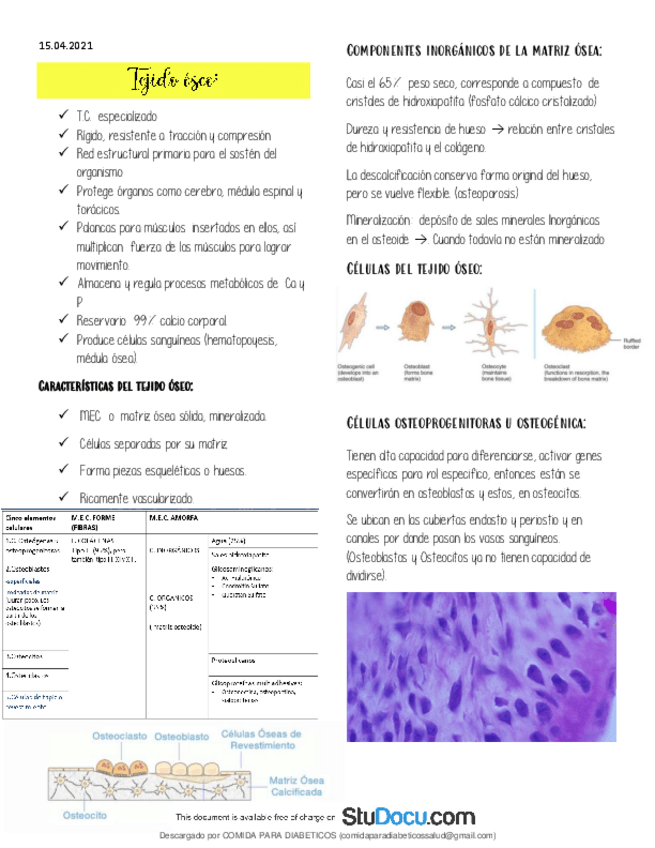 Miniatura del documento Tejido-oseo-histologia.pdf