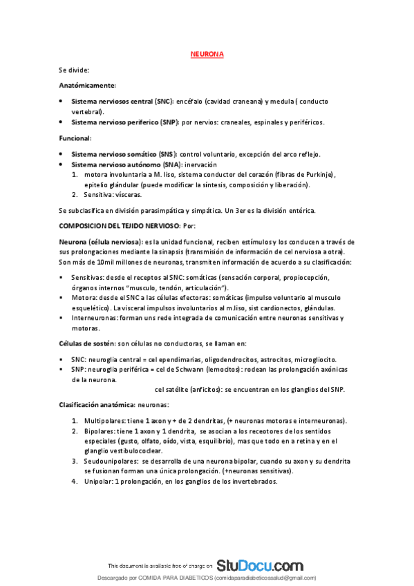 Miniatura del documento Histologia-de-la-neurona-partes-anatomicas-de-la-neurona-partes-funcionales-de-la-neurona-composicion-del-tejido-nervioso.pdf
