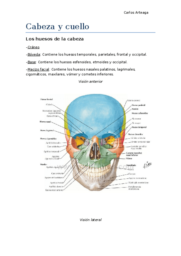 Miniatura del documento Apuntes-T.docx