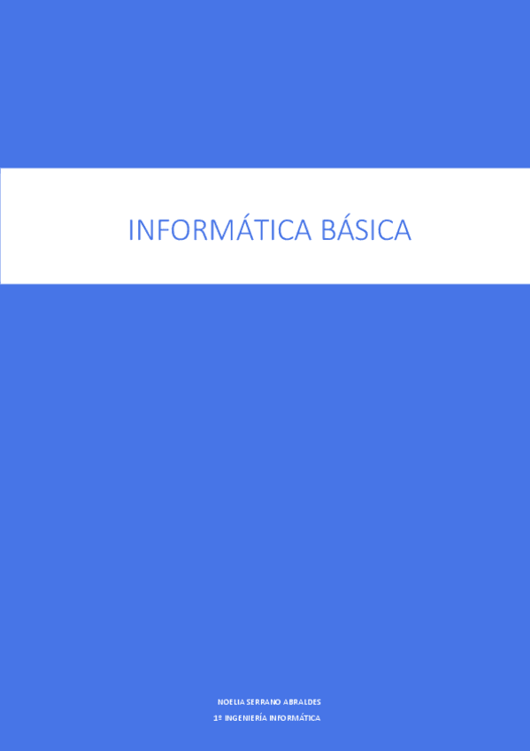 Miniatura del documento Resumen-IB.pdf