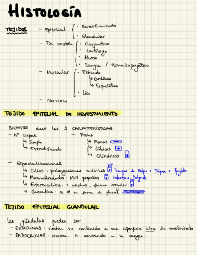 Miniatura del documento Histologia-Practicascompressed.pdf