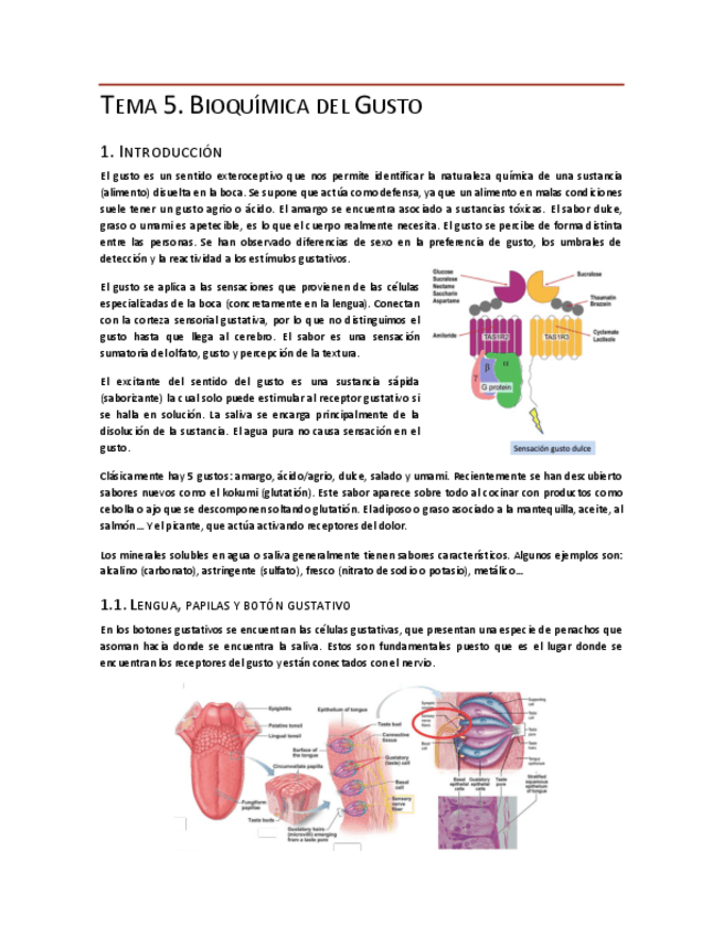 Miniatura del documento Tema-5.pdf
