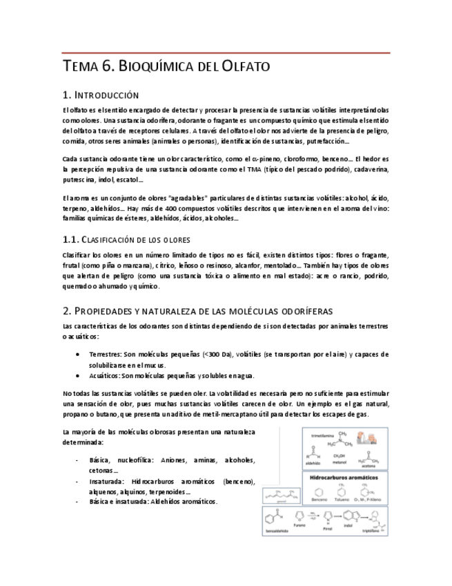 Miniatura del documento Tema-6.pdf