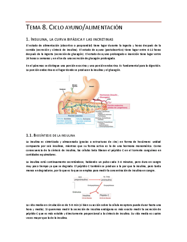 Miniatura del documento Tema-8.pdf