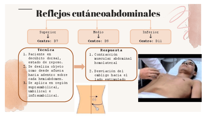 Miniatura del documento Reflejos-cutaneoabdominales.pdf