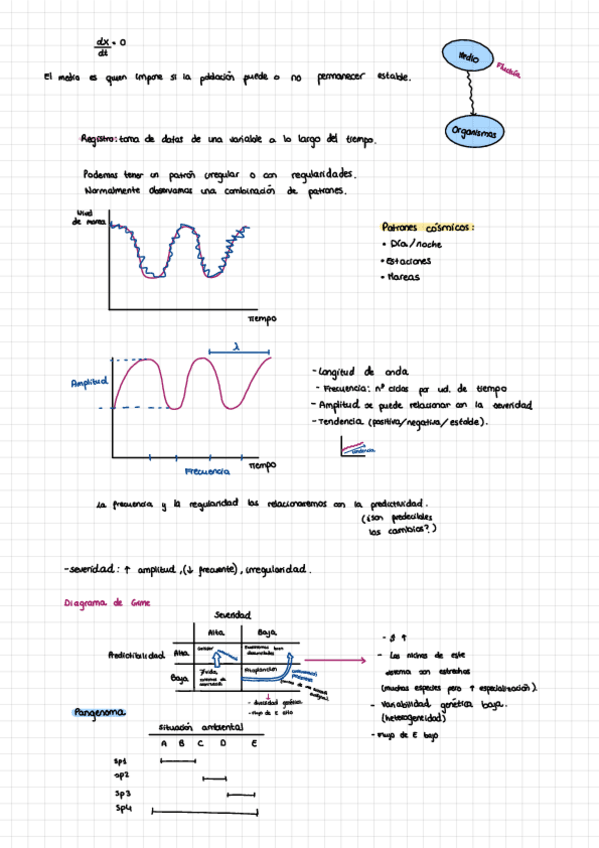 Miniatura del documento Tema-6.pdf