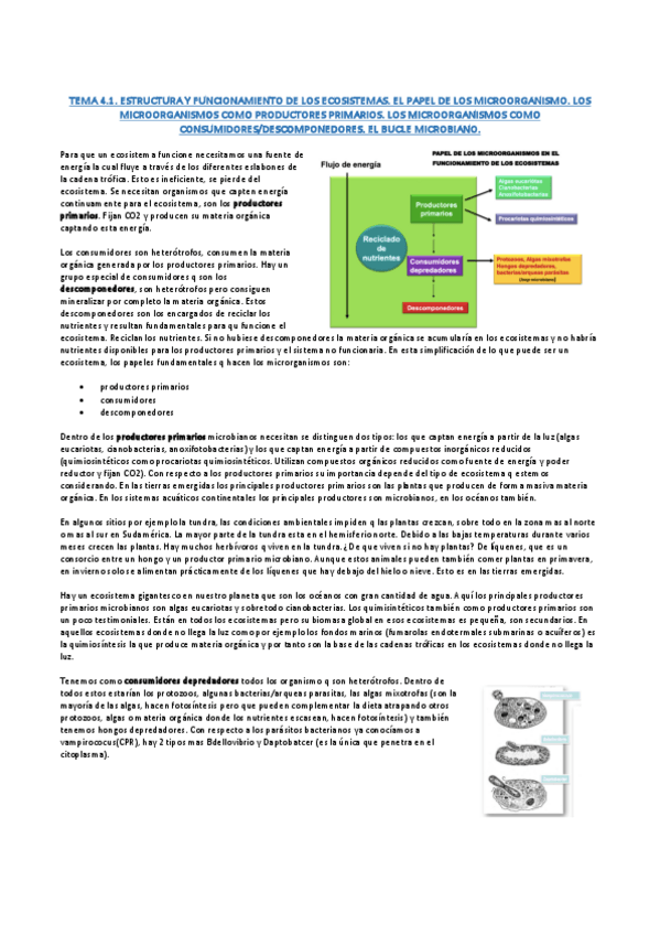 Miniatura del documento TEMA-4.pdf