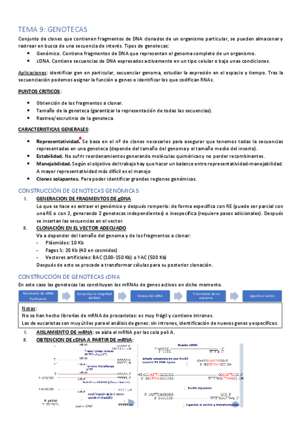 Miniatura del documento TEMA-9.pdf
