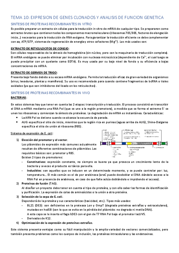 Miniatura del documento TEMA-10.pdf
