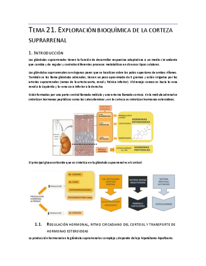 Miniatura del documento Tema-21.pdf