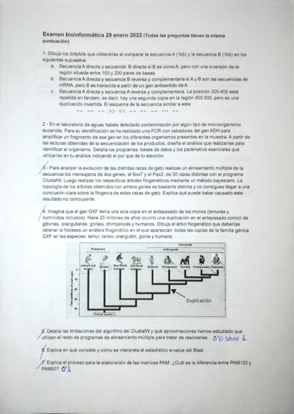 Miniatura del documento EXAMEN-28-ENERO-2022.pdf