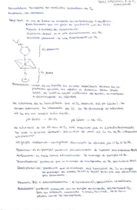 Miniatura del documento Resumenes-del-termario-y-soluciones-ejercicios-polipropilenos.pdf