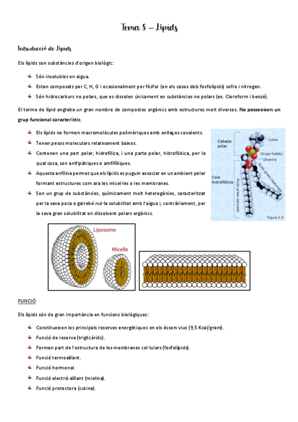 Miniatura del documento Tema-8.pdf