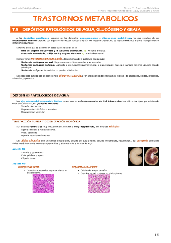 Miniatura del documento Anatomía patológica general- Bloque 3 Trastornos metabólicos.pdf
