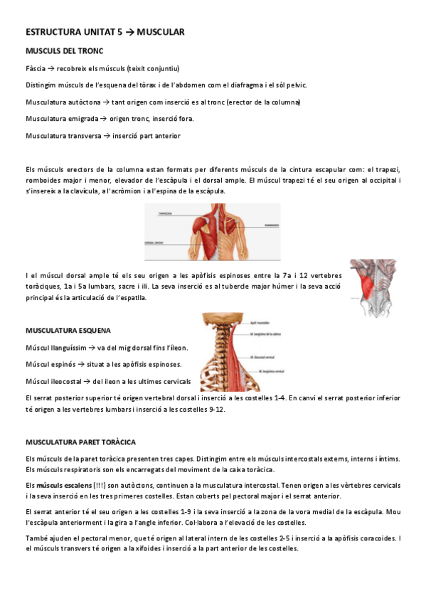 Miniatura del documento ESTRUCTURA UNITAT 5.pdf