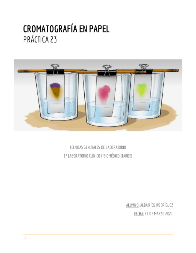 Miniatura del documento ALBA-RIOS-PRACTICA-24.pdf