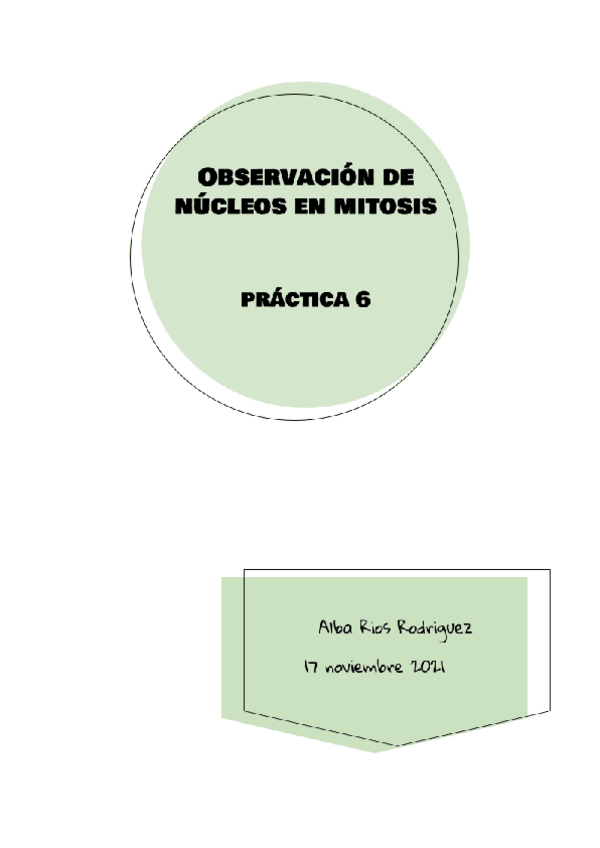 Miniatura del documento BMC-PRACTICA-6-1.pdf