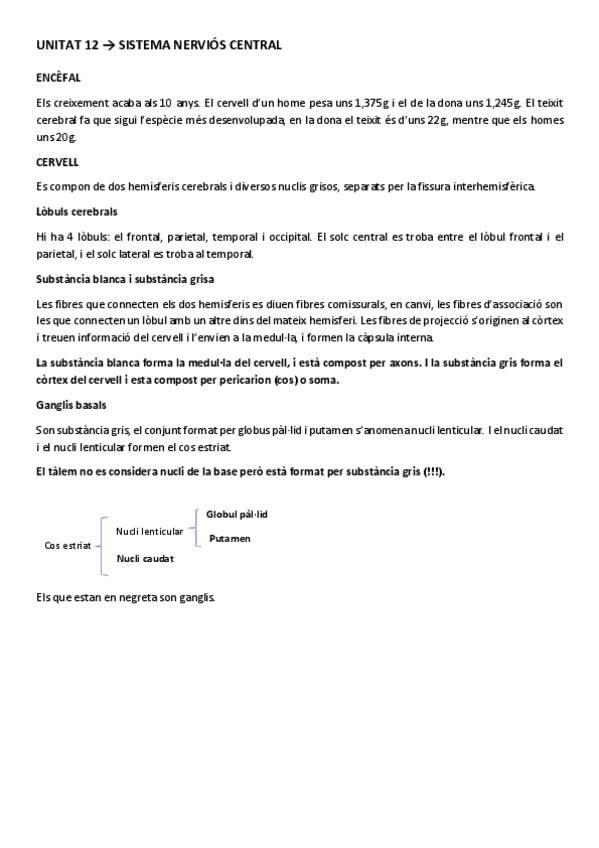 Miniatura del documento ESTRUCTURA UNITAT 12 i 13.pdf