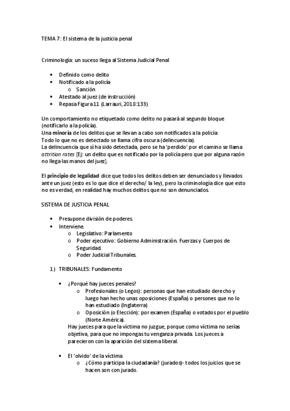 Miniatura del documento TEMA-7-El-sistema-de-la-justicia-penal.pdf