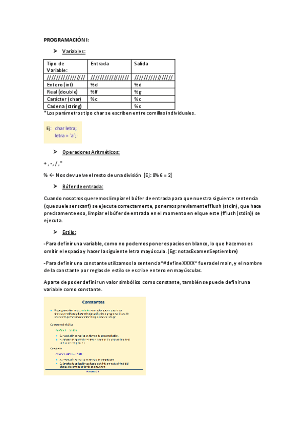 Miniatura del documento Apuntes-Programacion-I-Teoria.pdf