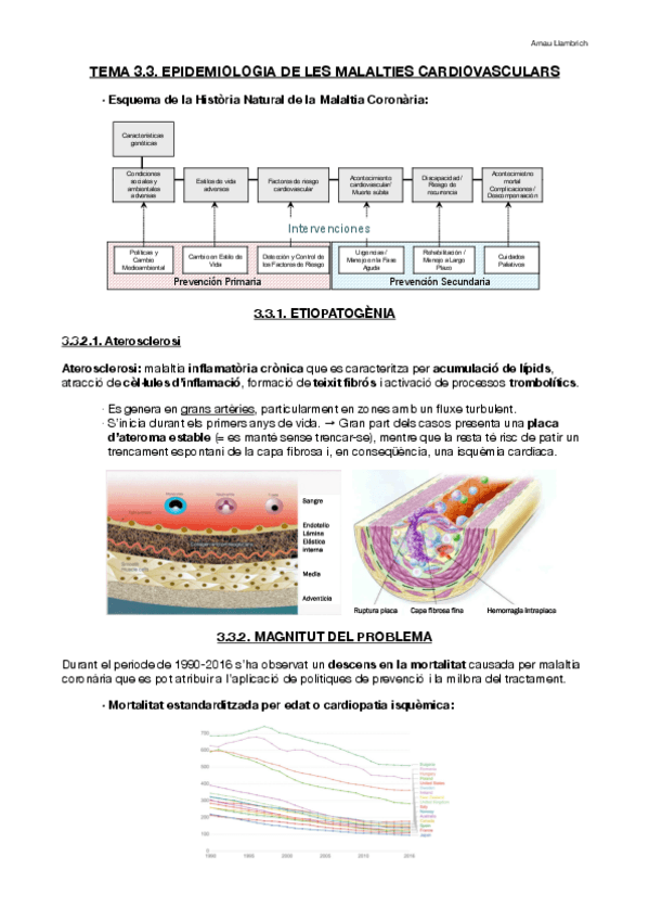 Miniatura del documento Salut-Publica-Tema-3.pdf