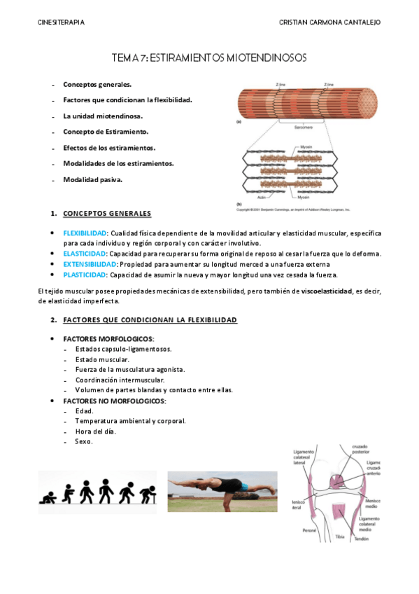 Miniatura del documento TEMA-7-ESTIRAMIENTOS-MIOTENDINOSOS.pdf